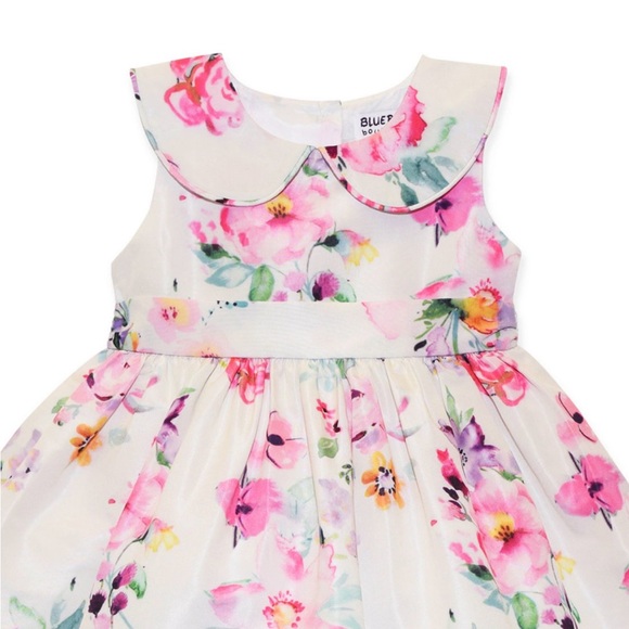 Blueberi Boulevard Toddler Girl Floral Sleeveless Fit and Flare Dress 3T NWT - Picture 3 of 3